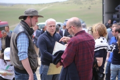 photogallery-24